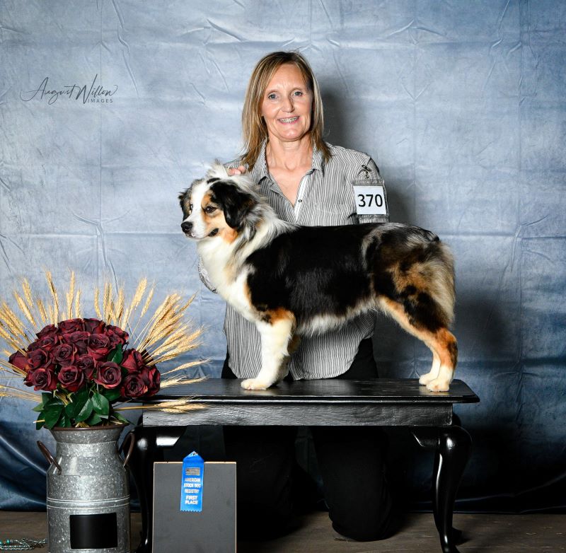 clay_creek_aussies_riata